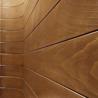 کابین آسانسور مدل دریمی کابین پلاس 03